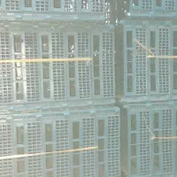 نگهبان دائم