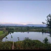 اجاره استخر ماهی ۳ هکتار برجاده /سوددهی عا،لی