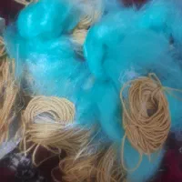 دام و طور ماهیگیری