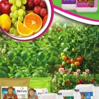 کود ارگانیک برای محصولات شما