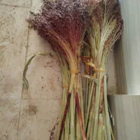 جارو ذراتی