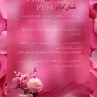 ادمین اینستاگرام هستم|خدمات رایانهای و موبایل|گلستان (تهران), |دیوار