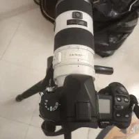 دوربین عکاسی برند سونی|دوربین عکاسی و فیلمبرداری|تهران, استخر|دیوار