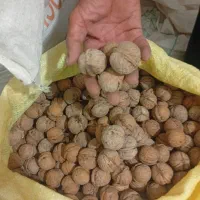 فروش گردو وبادام|حراج|قوچان, |دیوار