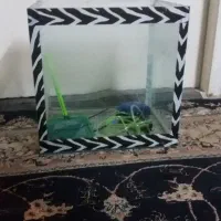 دو عدد آکواریوم و پمپ نو