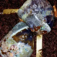 عقیق شجر سلیمانی رتایلی