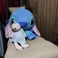 تاب ریلکسی تختی