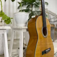 گیتار  تخفیف داره