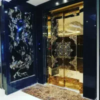 سرویس نگهداری ،رفع خرابی آسانسور و نصب