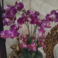 گل آفتابگردون و گل ارکیده|گل مصنوعی|رشت, کوی عرفان|دیوار