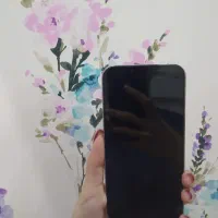 13 pro max silver|موبایل|رشت, چمارسرا|دیوار
