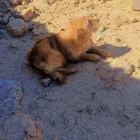 فروش فوری ۱۵۰۰