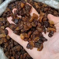 انواع کشمش ابگیری با تنوع بالا وقیمت مناسب