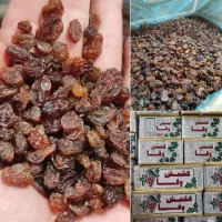 کشمش پلویی کارتنی