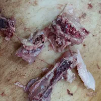 مرغ و پروتئین و ارگانیک سراجوجه طلایی|حراج|برازجان, |دیوار