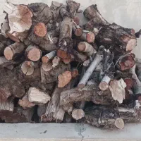 هیزم خشک ، چوب خشک شومینه و بخاری هیزمی|خدمات باغبانی و درختکاری|ارومیه, |دیوار