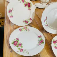 حراج گل سرخی ژاپن یاماتاسو ژاپن اصل قدیمی|حراج|مشهد, هنرستان|دیوار