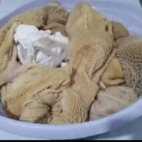 پای مرغ کله پاچه سنگدون چربی دار جیگر|خوردنی و آشامیدنی|رامهرمز, |دیوار