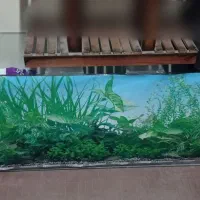 آکواریوم بزرگ