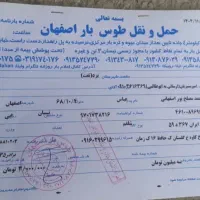 چغندر.شلغم|لوازم جانبی حیوانات|یزد, |دیوار