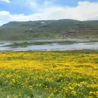 زمین-مسکونی