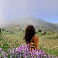 تور ویژه برای مو فرفری ها