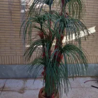 درختچه مصنوع