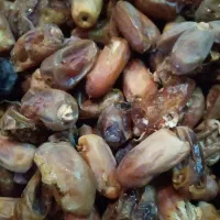 خرما برای شیره