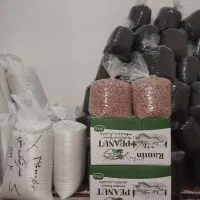برنج وچای وادامه زمینی آستانه