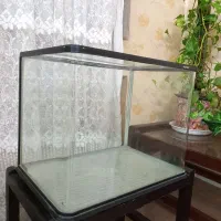 آکواریوم
