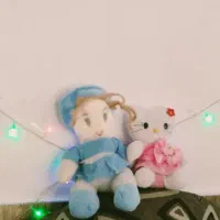 عروسک|اسباب‌‌بازی|شیراز, شهرک گلها|دیوار