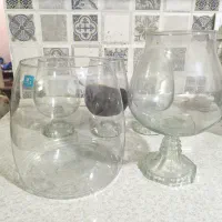 تنگ آکواریوم جام|ماهی|مشهد, فاطمیه|دیوار