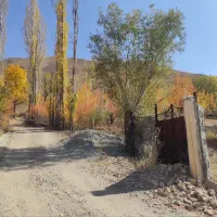 زمین فروشی شهرستانک (سرک،مازون)