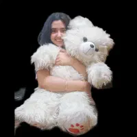 عروسک خرسی پر طرفدار