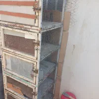 قفس جفتی|لوازم جانبی حیوانات|قزوین, |دیوار