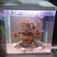 اکواریوم شیشه خم شرکتی اکوا|ماهی|کهریزک, |دیوار