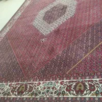 یک عدد فرش ۱۲ متری و۲ عدد ۶ متری و کناره طرح افشار|فرش|زنجان, |دیوار