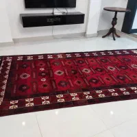 فرش دستباف طرح بلوچ|فرش|ساری, |دیوار