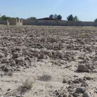 زمین-کشاورزی-2000-متری-با-سند-مالکیت