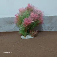 دکور آکواریوم