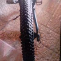 دوچرخه درحد نو نو زیر قیمت|دوچرخه، اسکیت، اسکوتر|پردیس, فاز ۴|دیوار