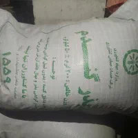 گندم میهن اصلاح شده