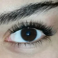 خدمات اکستنشن و لیفت و لمینت مژه|خدمات آرایشگری و زیبایی|شیراز, پودنک|دیوار