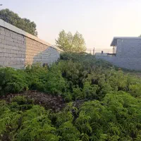 زمین مسکونی شهرک صبا|فروش زمین و ملک کلنگی|رشت, شهرک صبا|دیوار