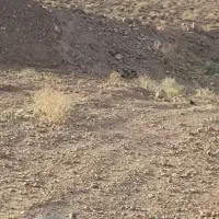 زمین مسکن ملی