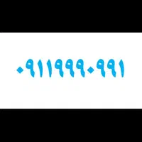 09119990991