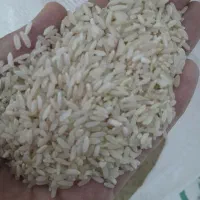 چند تا گونی برنج کرف