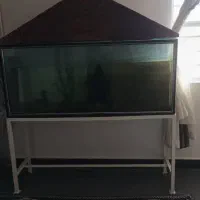 آکواریوم باتمام وسایل|ماهی|امیدیه, |دیوار