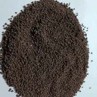 چای کله مورچه ساده هندی
