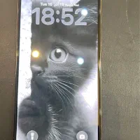 گوشی آیفون ۱۲ پرو مکس ۲۵۶ گیگ zaa